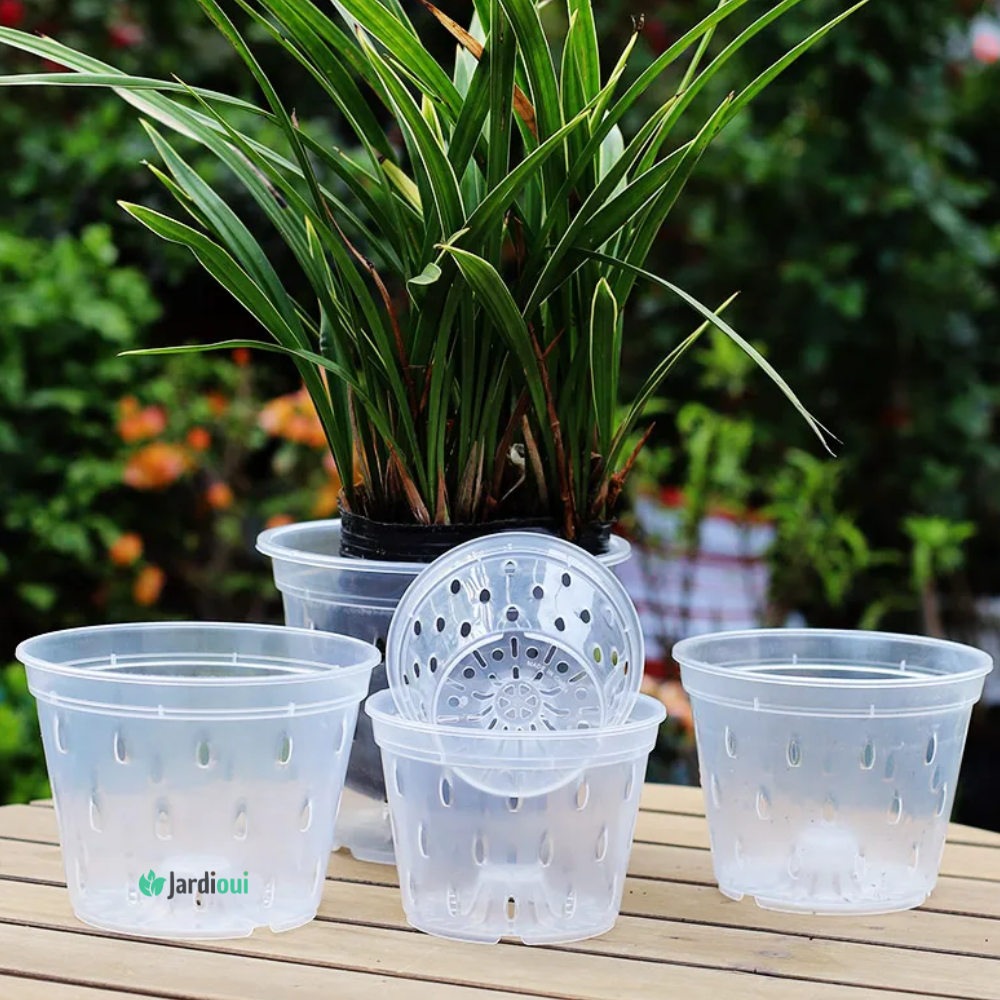 Premium beluchte transparante kweekpotten