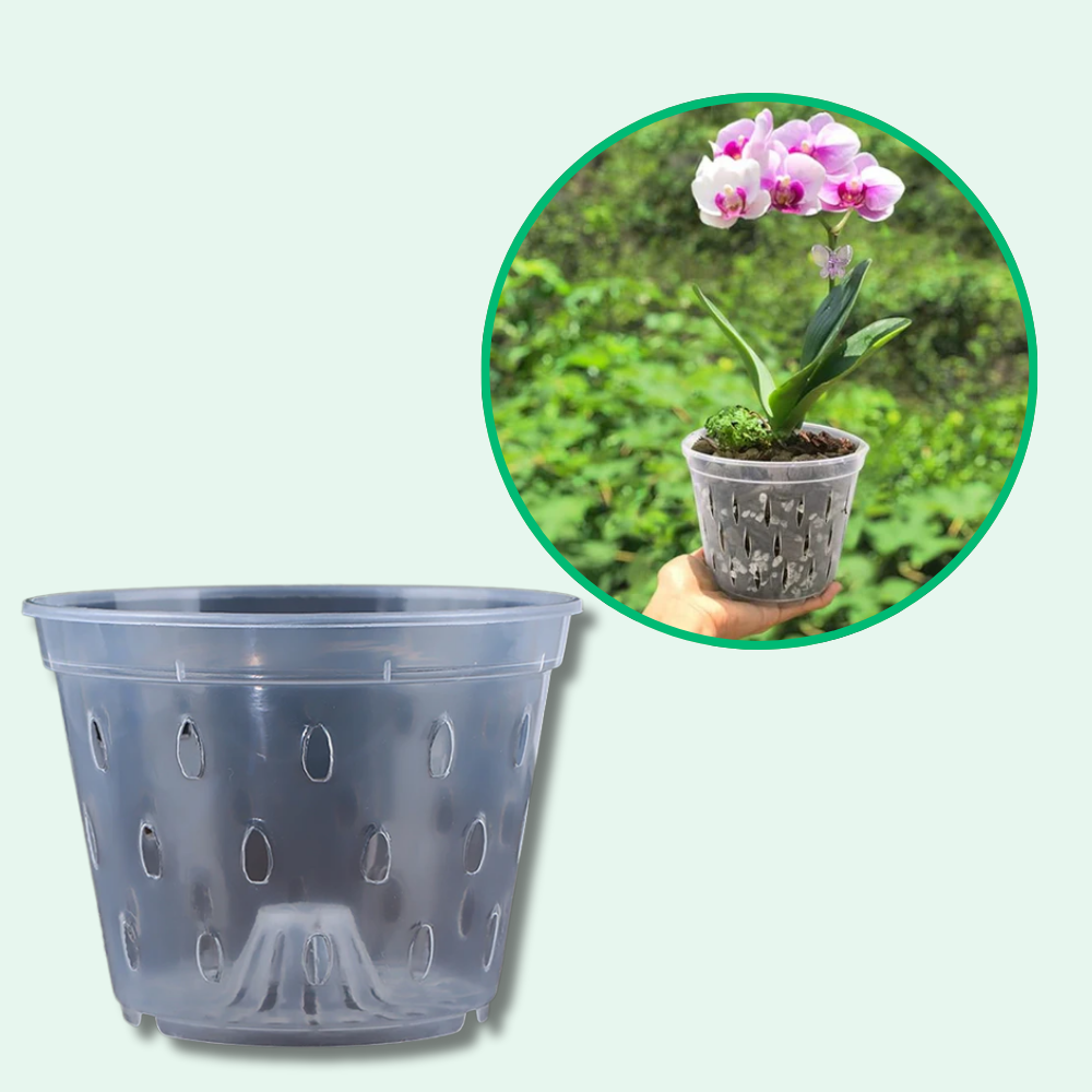 Premium beluchte transparante kweekpotten