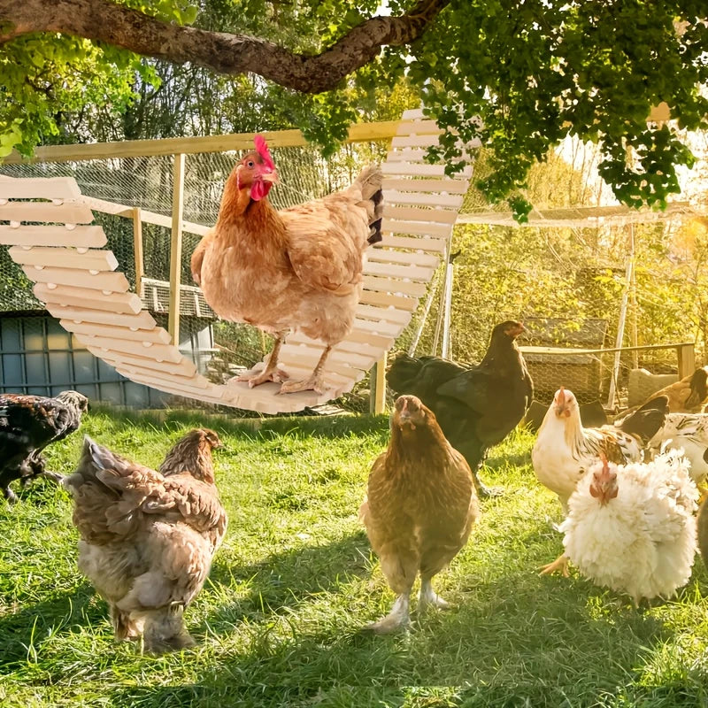 Balançoire Naturelle Suspendue pour Poulets