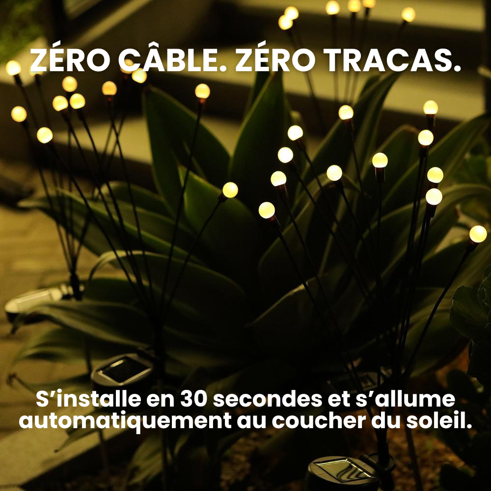 Firefly LED-lampen op zonne-energie - speciale aanbieding