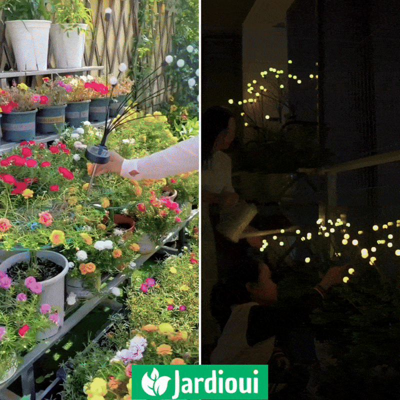 Firefly LED-lampen op zonne-energie - speciale aanbieding