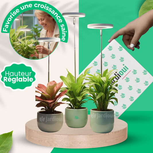 LED-kweeklamp voor binnen (Set van 2+1 gratis)