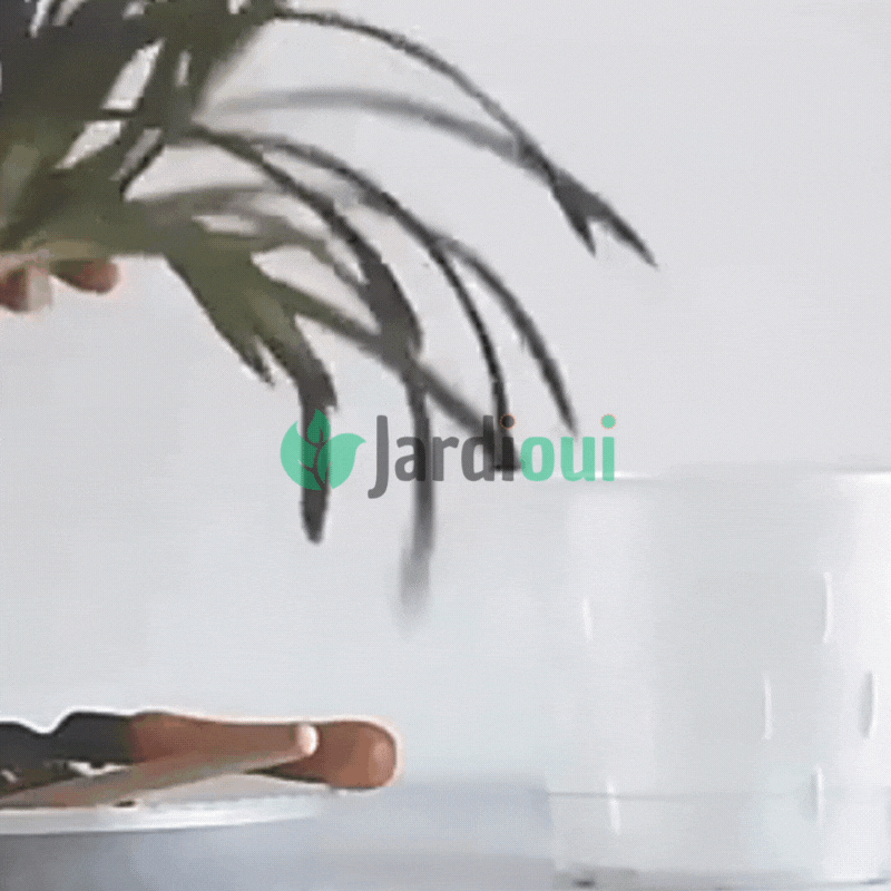 Premium beluchte transparante kweekpotten