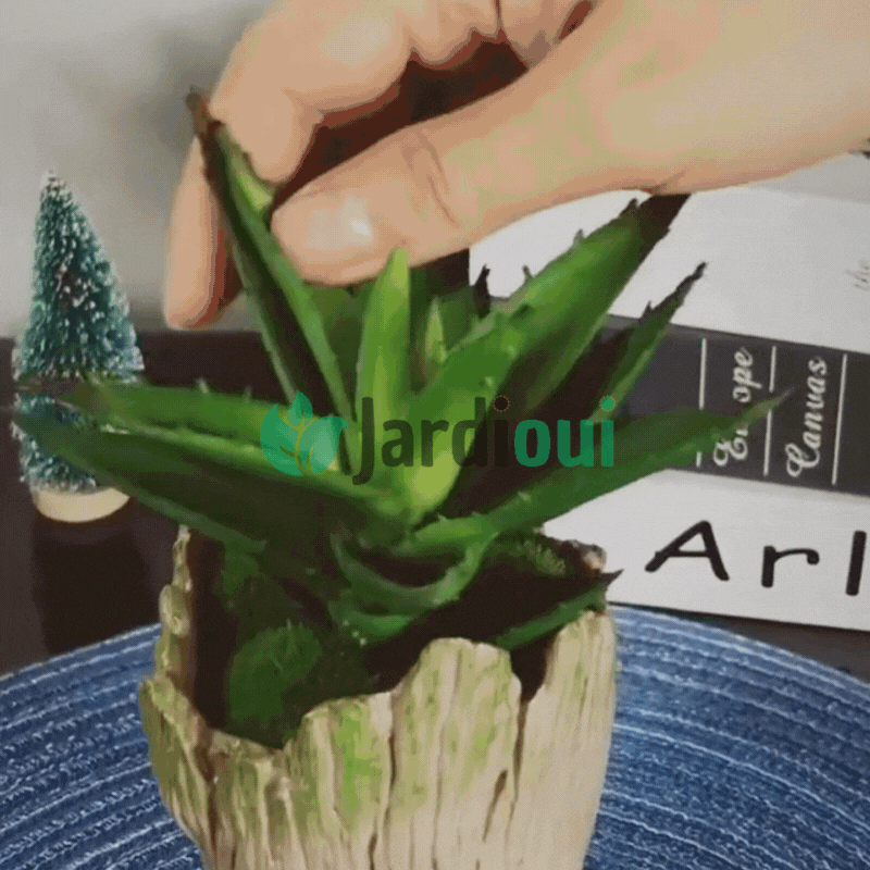 Grillige plantenpot “Bewaker van het bos”