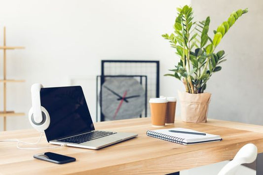 Rendez Votre Bureau Respirable : Guide des Plantes Idéales pour l'Espace de Travail