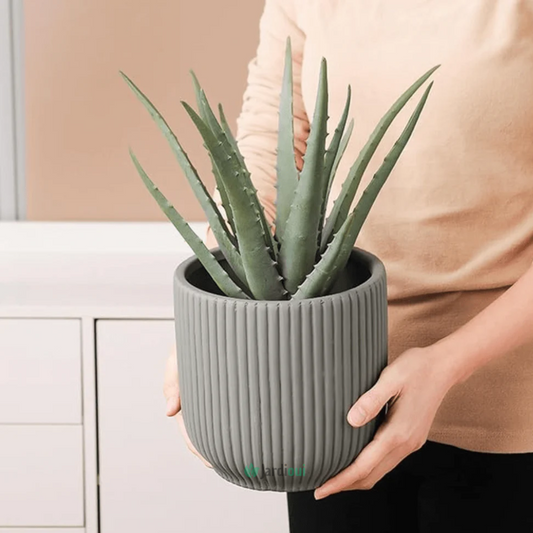 Elegante keramische bloempot