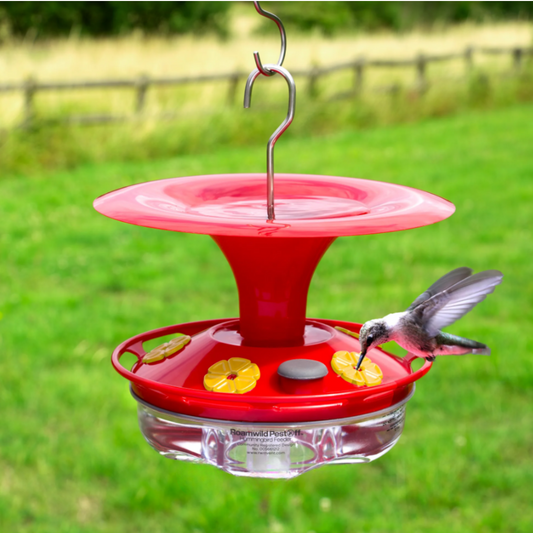 Transparante Colibri Multi-Poort Voederbak