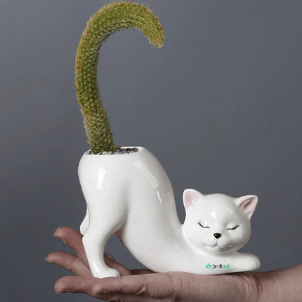 Schattige kattenbloempot