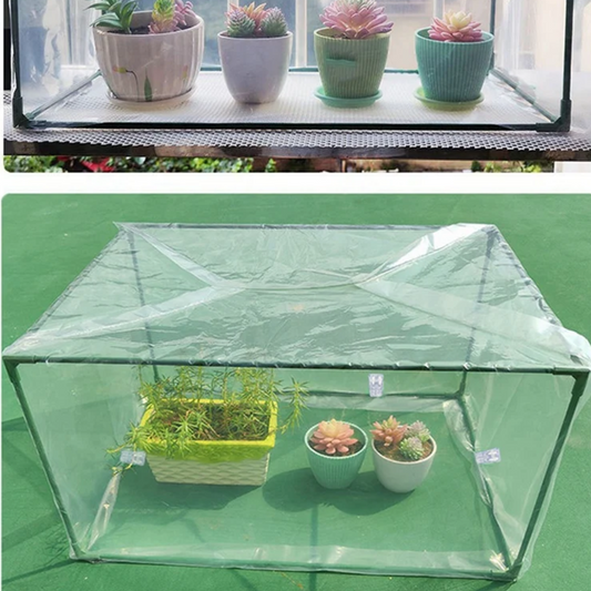 Mini Serre Protectrice Compacte Transparente
