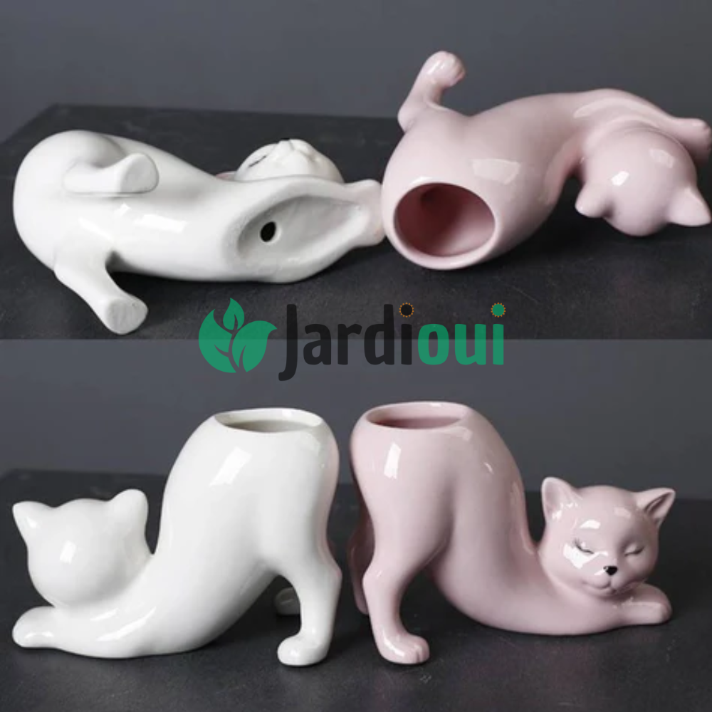 Schattige kattenbloempot