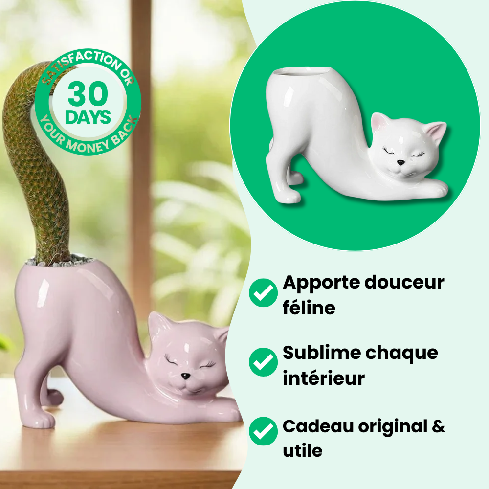 Schattige kattenbloempot