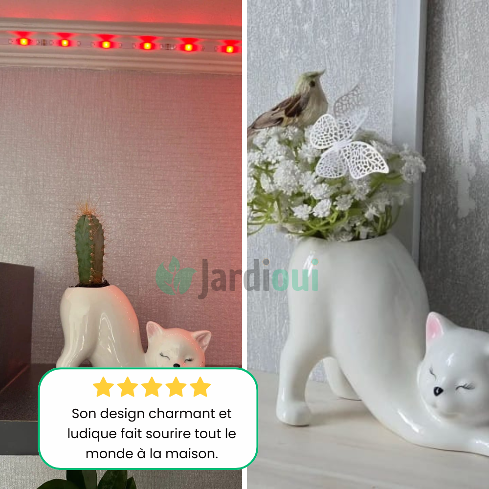 Schattige kattenbloempot