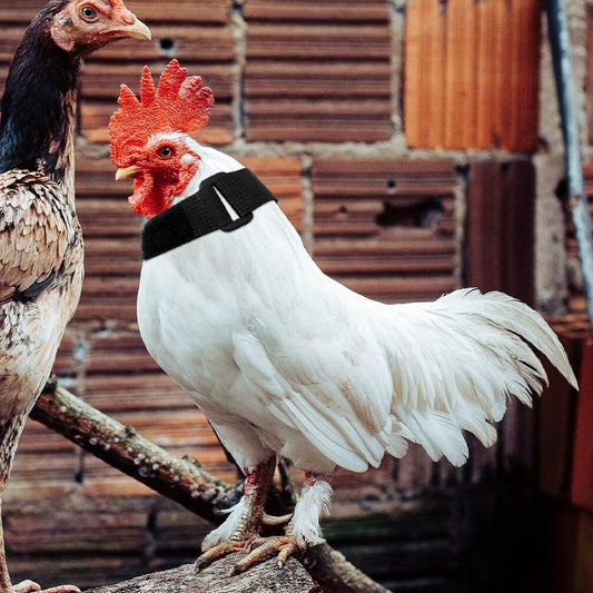Verstelbare Anti-Krijs Halsband voor Kippen