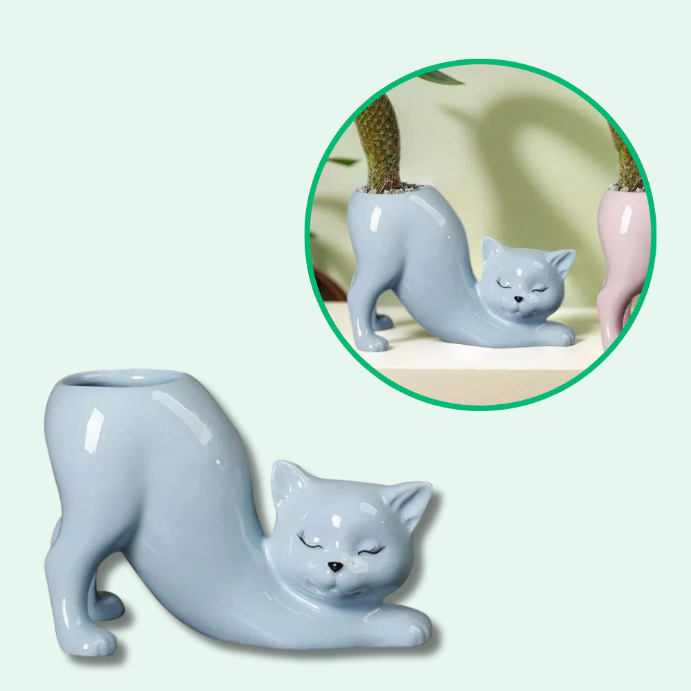 Schattige kattenbloempot