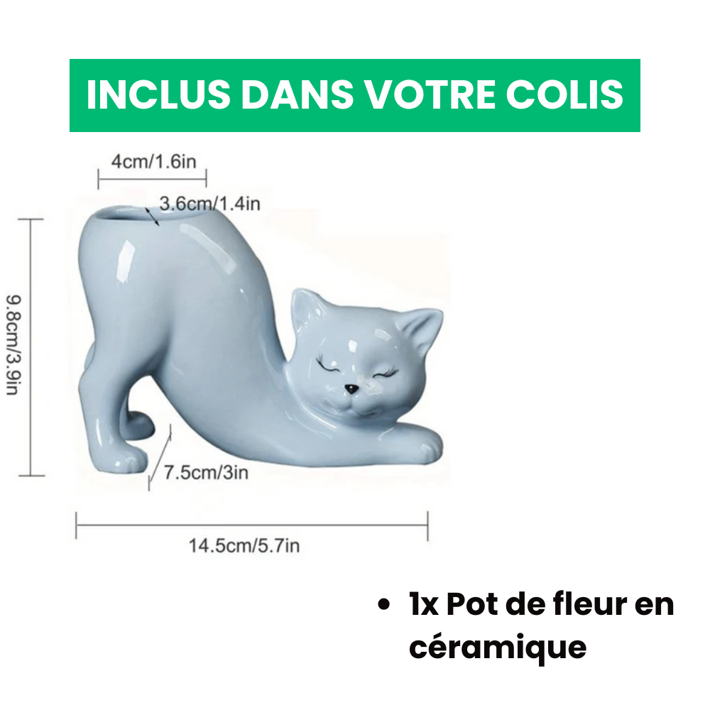 Schattige kattenbloempot