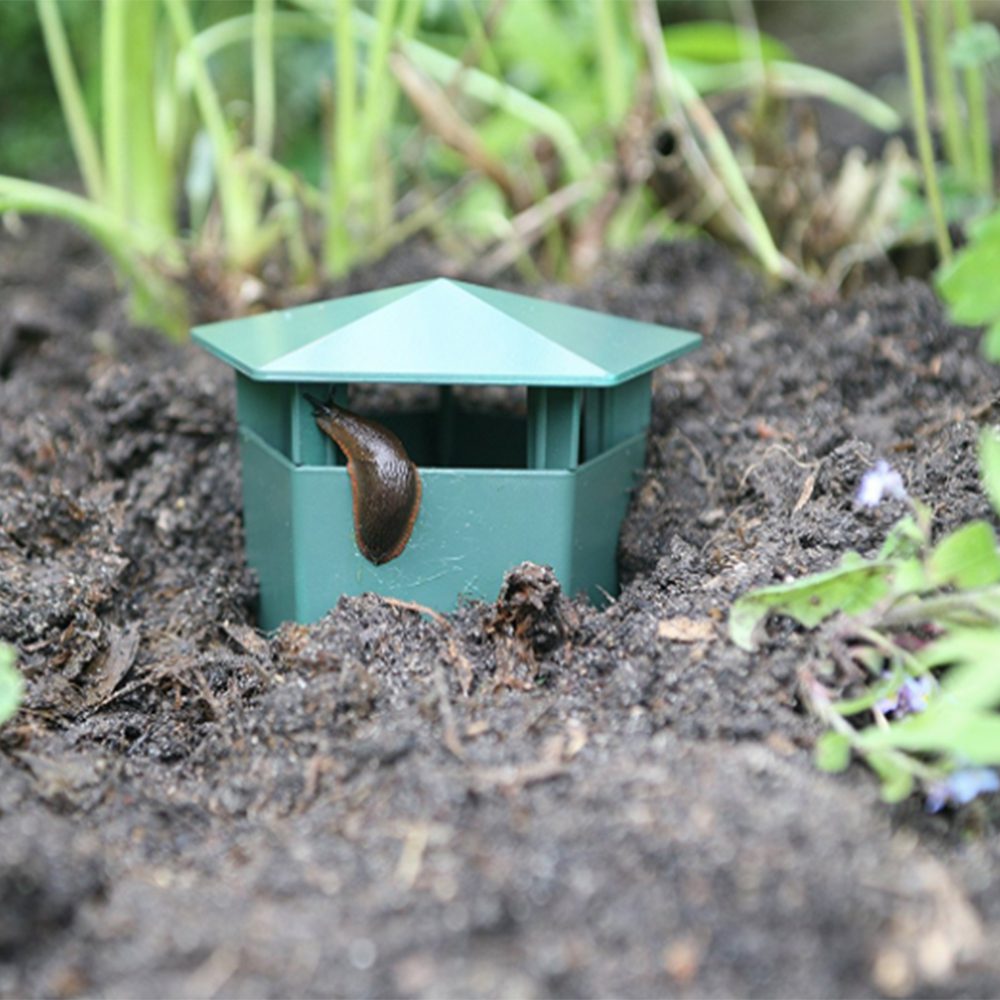 Innovative Eco-Responsible Anti-Parasite Cage