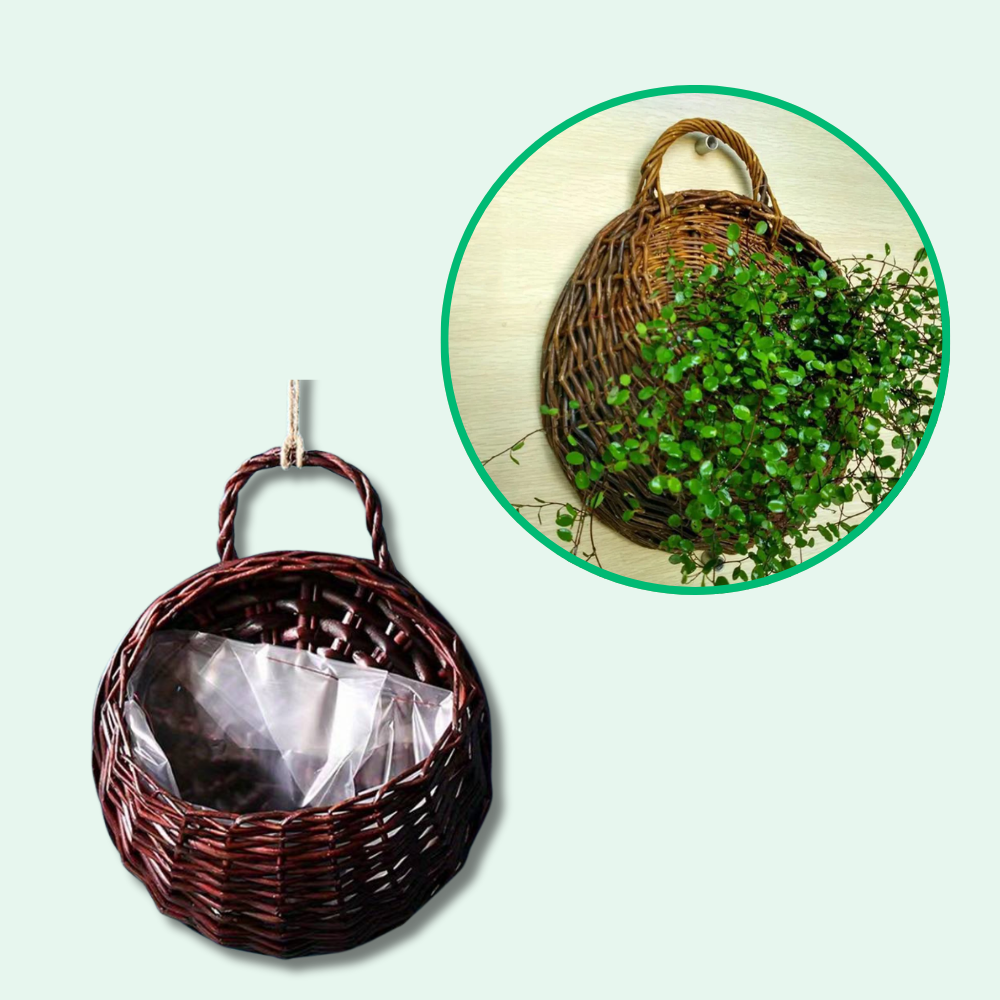 Jardioui 1 Jardinière (24.90 €/ pcs) / Brun foncé Jardinière Osier Murale Élégante