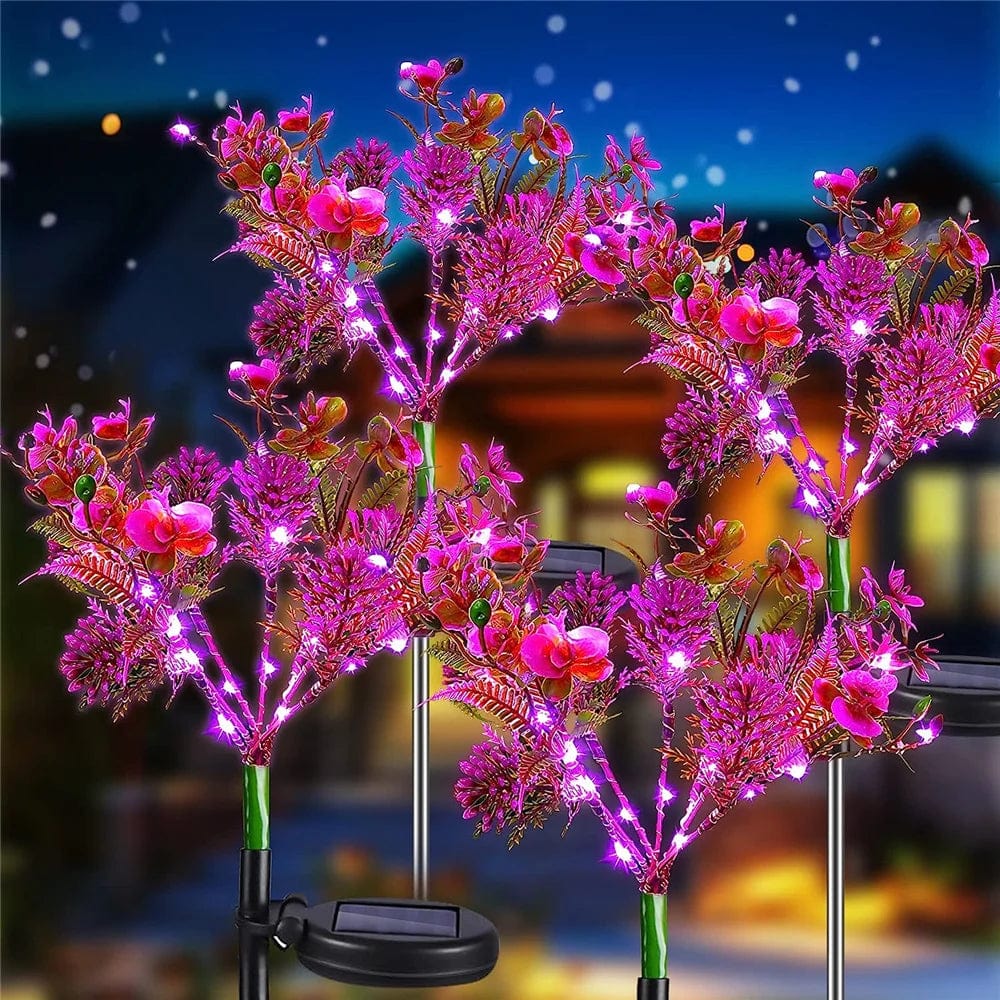 Jardioui 1 Lampe (29.90 €/ pcs) Lampe solaire Phalaenopsis Envoûtante Élégante