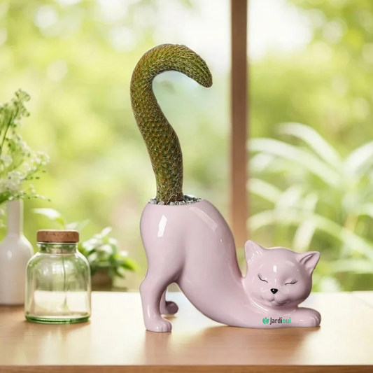 Jardioui 1 Pot (29.90 €/ pcs) / Rose Pot de Fleur Chat Adorable