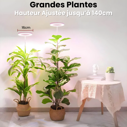 Jardioui 3 Grandes (max 140cm) Lampe de Croissance LED d'Intérieur (Lot de 2+1 Offerte)