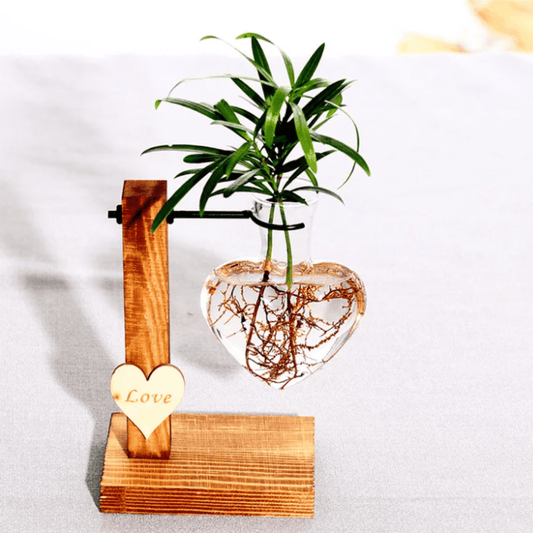 Jardioui Amour Simple Vase Suspendu CÅur Hydroponique