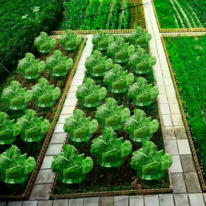 Jardioui Collier Anti-Escargot Réutilisable pour Plantes