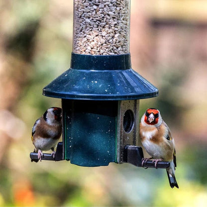 Jardioui Distributeur de Nourriture Ultime pour Oiseaux