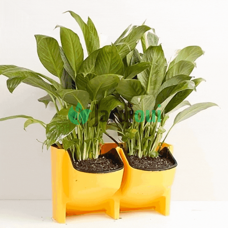 Jardioui Jardinière verticale auto-arrosante (1 pièce)