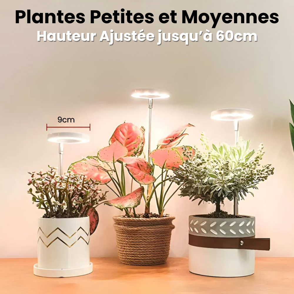 Jardioui Lampe de Croissance LED d'Intérieur (Lot de 2+1 Offerte)