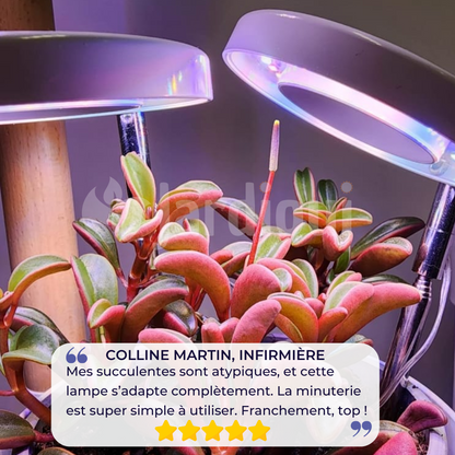 Jardioui Lampe de Croissance LED d'Intérieur (Lot de 2+1 Offerte)