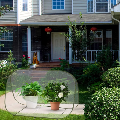 Jardioui Mini Serre Anti-Intempéries Durable