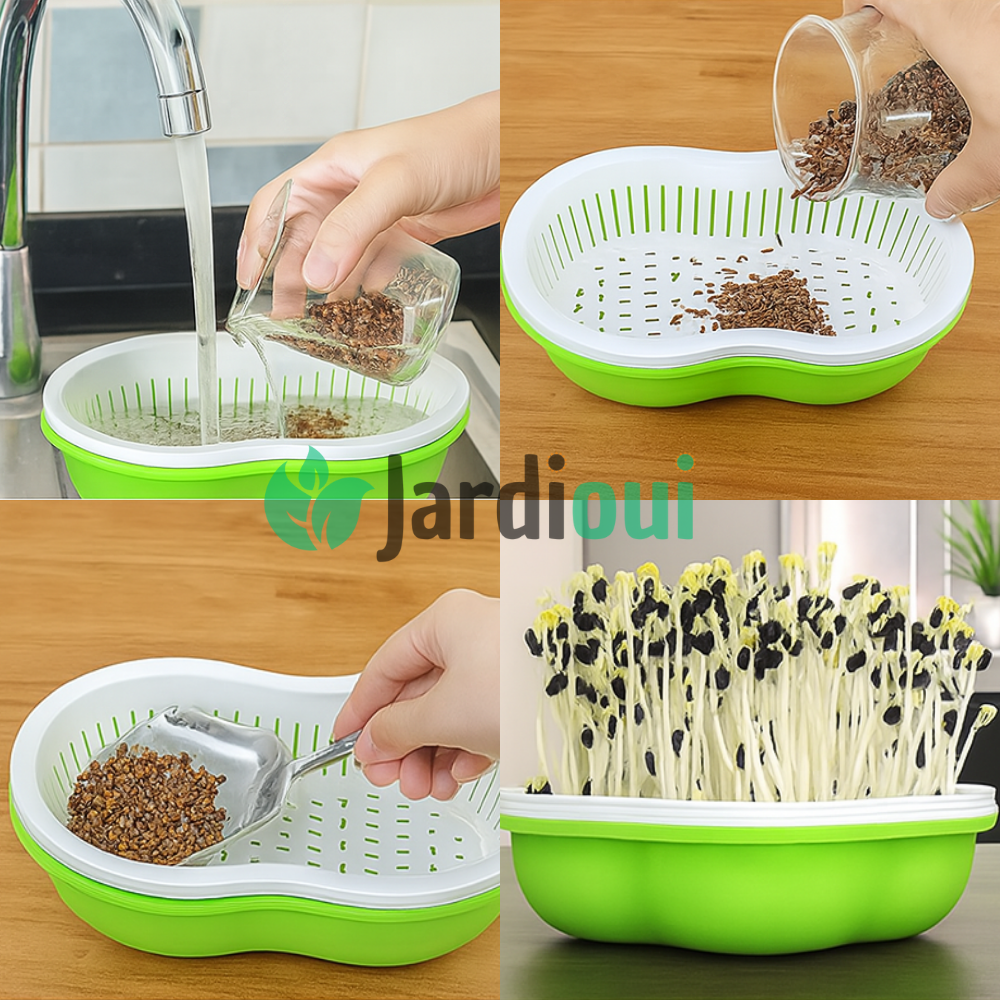 Jardioui Plateau de Culture Hydroponique Maison Innovant