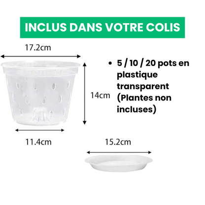 Jardioui Pots de Culture Transparents Aérés Premium