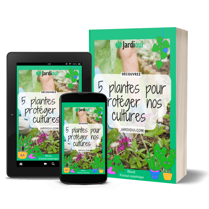 Jardioui 5 plantes pour protéger nos cultures - Livre numérique